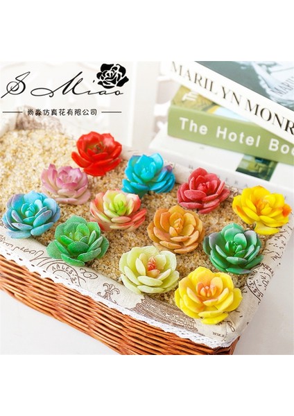 Ljc Akın Mavi Mini Yapay Etli Bitkiler Ev Yatak Odası Oturma Odası Masaüstü Dekorasyon Küçük Orta Büyük Yeşil Kırmızı Dıy Sahte Bitkiler Bonsai (Yurt Dışından) fiyatları