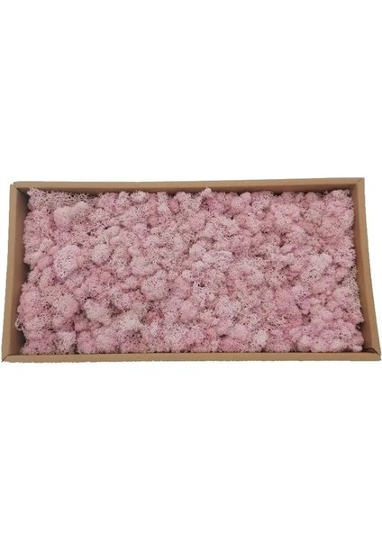 3 Açık Pembe 40G 20/40G Yapay Yeşil Bitkiler Ebedi Yaşam Yosun Çim Ev Oturma Odası Bahçe Dekorasyon Mini Peyzaj Sahte Çiçek Dıy El Sanatları (Yurt Dışından)