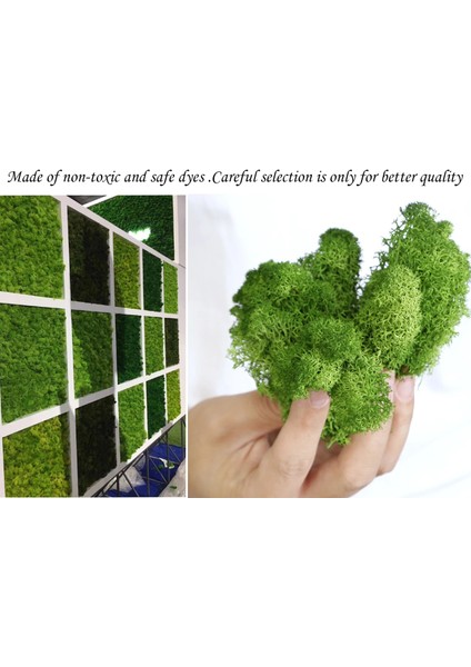 Açık Sarı Yeşil Saksı Bitkileri Için 20G Yapay Yosun Zanaat Sanatları Için Sahte Doğal Yeşil Ren Geyiği Yosun Çiçek Duvar Dekor Düğün Bahçe Dekorasyon (Yurt Dışından) modelleri