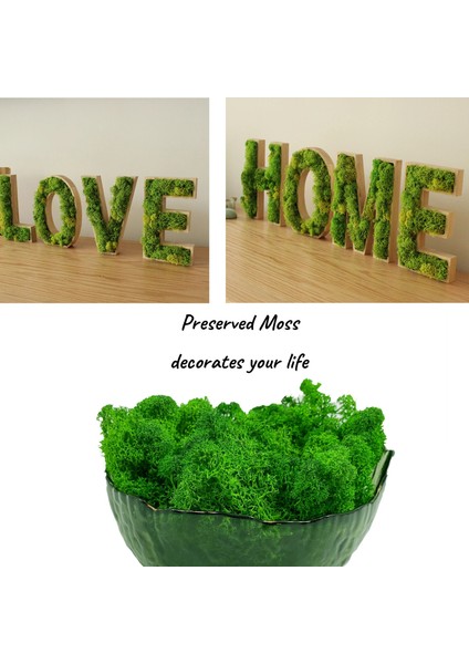 Açık Sarı Yeşil Saksı Bitkileri Için 20G Yapay Yosun Zanaat Sanatları Için Sahte Doğal Yeşil Ren Geyiği Yosun Çiçek Duvar Dekor Düğün Bahçe Dekorasyon (Yurt Dışından) fırsatları