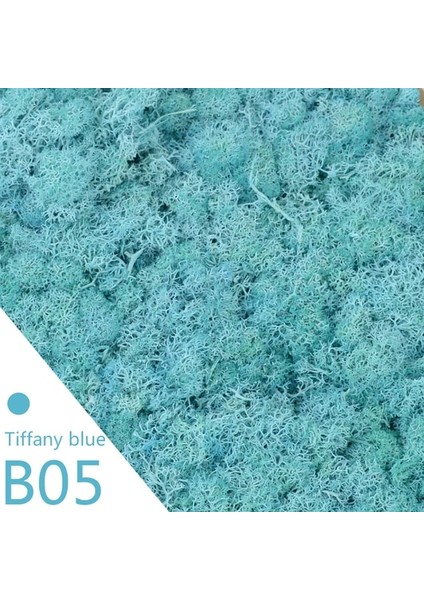 B05 20G 40/20G Yapay Yosun Çim Yeşil Sahte Bitki Ebedi Yaşam Yosun Ev Bahçe Duvarı Dekor Için Dıy Çiçek Mikro Peyzaj Aksesuarla (Yurt Dışından)