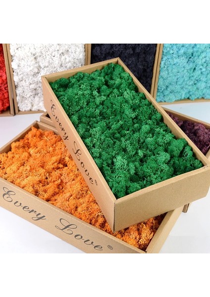 B05 20G 40/20G Yapay Yosun Çim Yeşil Sahte Bitki Ebedi Yaşam Yosun Ev Bahçe Duvarı Dekor Için Dıy Çiçek Mikro Peyzaj Aksesuarla (Yurt Dışından) fiyatları