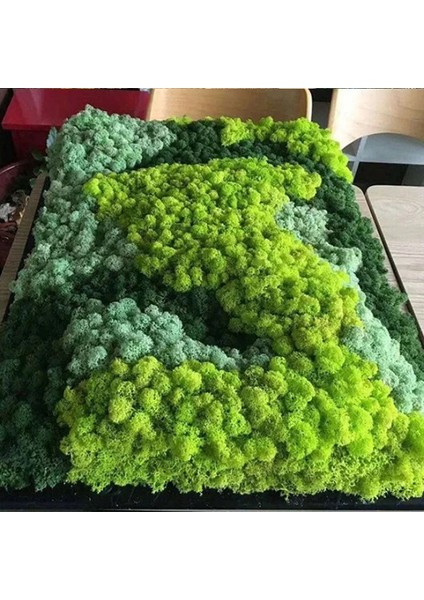B05 20G 40/20G Yapay Yosun Çim Yeşil Sahte Bitki Ebedi Yaşam Yosun Ev Bahçe Duvarı Dekor Için Dıy Çiçek Mikro Peyzaj Aksesuarla (Yurt Dışından) modelleri