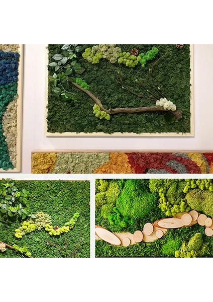 B05 20G 40/20G Yapay Yosun Çim Yeşil Sahte Bitki Ebedi Yaşam Yosun Ev Bahçe Duvarı Dekor Için Dıy Çiçek Mikro Peyzaj Aksesuarla (Yurt Dışından) indirimleri