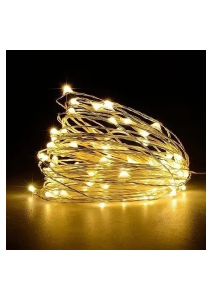 Sıcak Beyaz 10 M 10/20 M LED Peri Işıklar Bakır Tel USB Powered Noel Dekor Dize Işık Düğün Parti Yeni Yıl Süslemeleri 2022 Çelenk (Yurt Dışından)