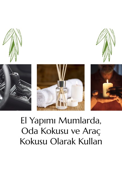 Aloe Vera Esansı Mum ve Buhurdanlık Için Yoğun 10,20,30 ml