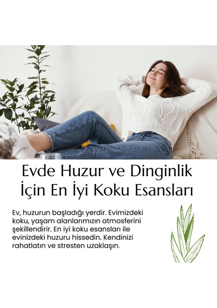 Aloe Vera Esansı Mum ve Buhurdanlık Için Yoğun 10,20,30 ml