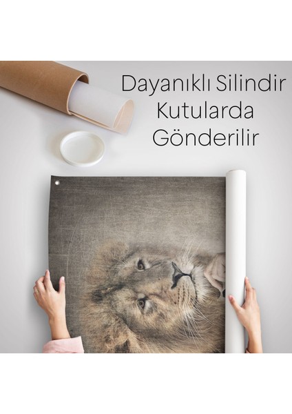 Aslan Kafalı Insan Duvar Örtüsü - HALISI-4993