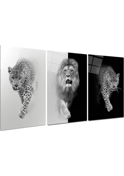 Leopar ve Aslan Triple Cam Tablo