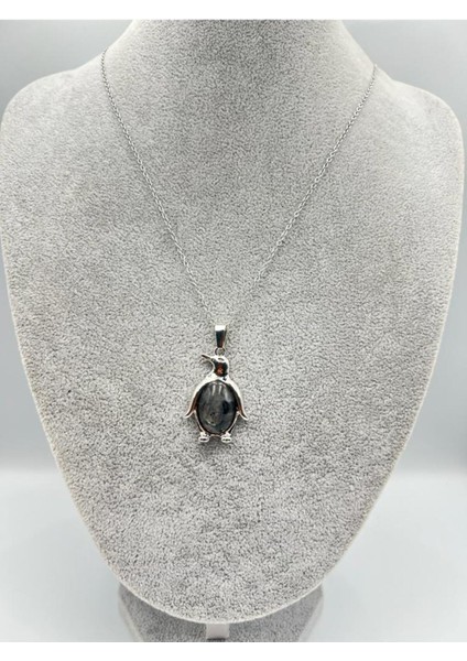 Sertifikalı Labradorit Doğal Taş Kolye Penguen Detaylı Sürpriz Hediyeli modelleri