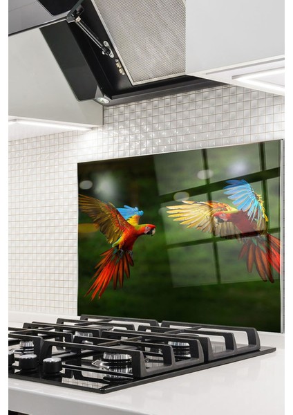 Cam Ocak Arkası Koruyucu Ankastre Arkası Koruyucu | Papağan