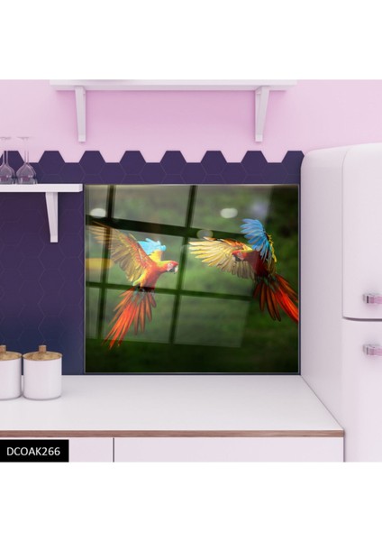 Cam Ocak Arkası Koruyucu Ankastre Arkası Koruyucu | Papağan modelleri