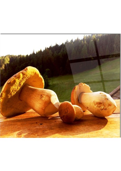 Cam Ocak Arkası Koruyucu Ankastre Arkası Koruyucu | Mantar fiyatları