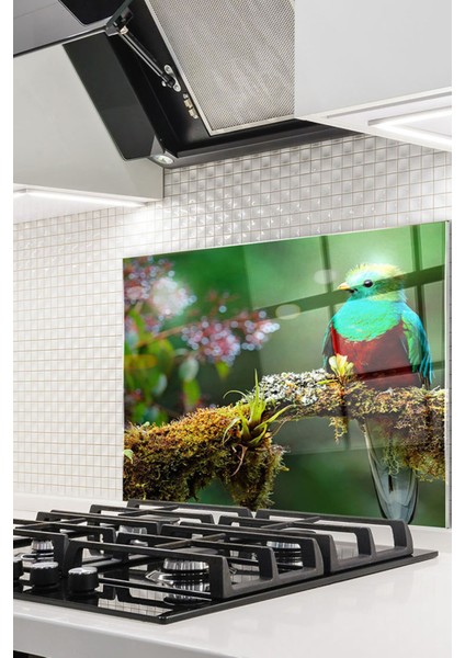 Cam Ocak Arkası Koruyucu Ankastre Arkası Koruyucu | Kuş