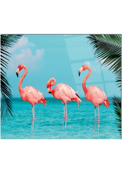 Cam Ocak Arkası Koruyucu Ankastre Arkası Koruyucu | Flamingolar fiyatları