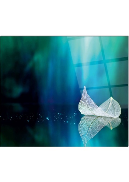 Cam Ocak Arkası Koruyucu Ankastre Arkası Koruyucu | Yaprak fiyatları