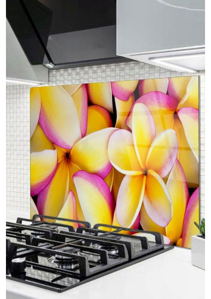 Cam Ocak Arkası Koruyucu Ankastre Arkası Koruyucu | Çiçek