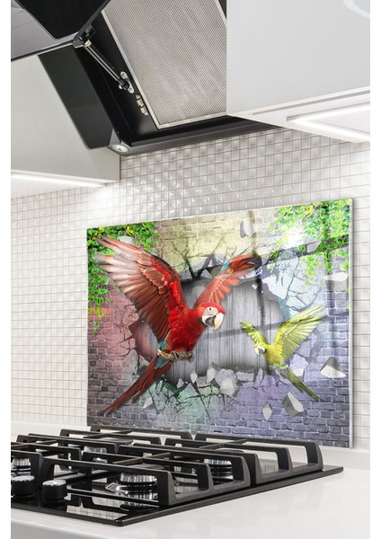 Cam Ocak Arkası Koruyucu Ankastre Arkası Koruyucu | Papağan