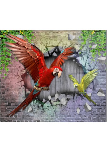 Cam Ocak Arkası Koruyucu Ankastre Arkası Koruyucu | Papağan fiyatları