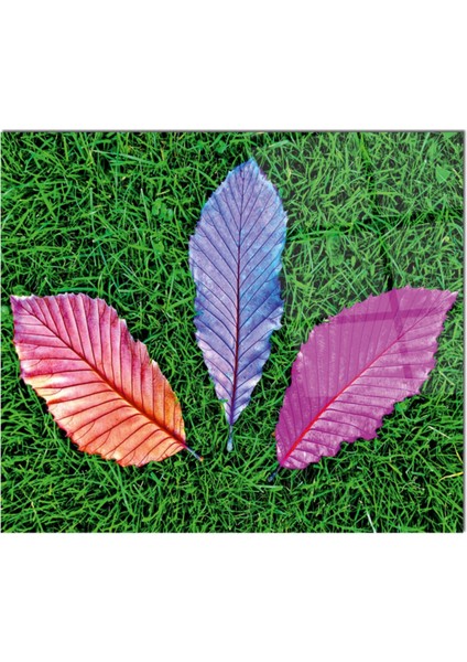 Cam Ocak Arkası Koruyucu Ankastre Arkası Koruyucu | Renkli Yapraklar fiyatları