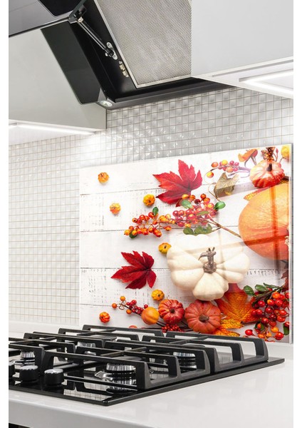 Cam Ocak Arkası Koruyucu Ankastre Arkası Koruyucu | Balkabağı