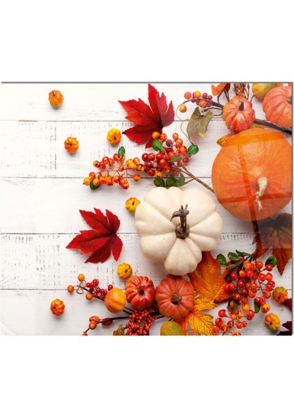 Cam Ocak Arkası Koruyucu Ankastre Arkası Koruyucu | Balkabağı fiyatları