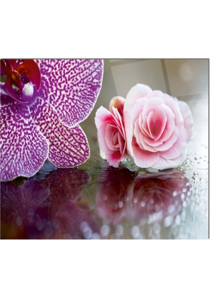 Cam Ocak Arkası Koruyucu Ankastre Arkası Koruyucu | Çiçek fiyatları