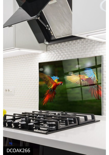 Cam Ocak Arkası Koruyucu | Papağan