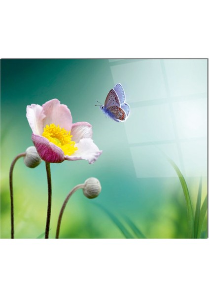 Cam Ocak Arkası Koruyucu Ankastre Arkası Koruyucu | Kelebek fiyatları