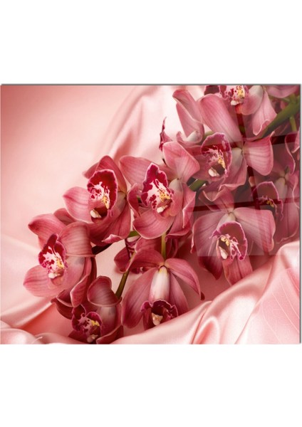 Cam Ocak Arkası Koruyucu Ankastre Arkası Koruyucu | Pembe Çiçek fiyatları