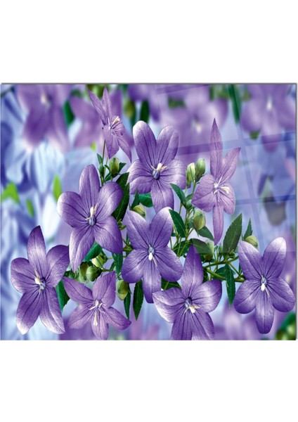 Cam Ocak Arkası Koruyucu Ankastre Arkası Koruyucu | Çiçek fiyatları