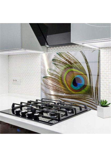 Cam Ocak Arkası Koruyucu | Tavus Kuş Tüyü Model fiyatları