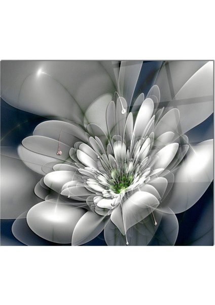 Cam Ocak Arkası Koruyucu Ankastre Arkası Koruyucu | Çiçek fiyatları