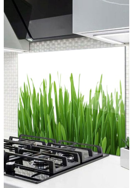 Cam Ocak Arkası Koruyucu Ankastre Arkası Koruyucu | Çim