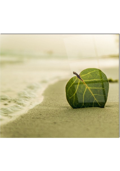 Cam Ocak Arkası Koruyucu Ankastre Arkası Koruyucu | Yaprak fiyatları