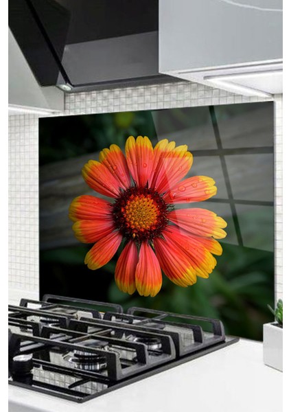 Cam Ocak Arkası Koruyucu Ankastre Arkası Koruyucu | Çiçek