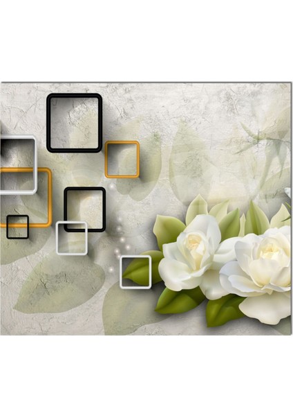 Cam Ocak Arkası Koruyucu fiyatları