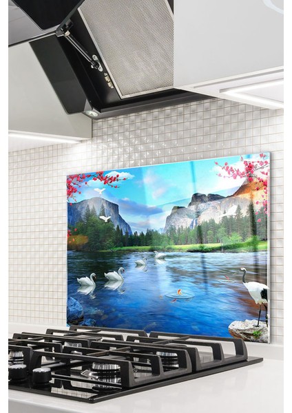 Cam Ocak Arkası Koruyucu Ankastre Arkası Koruyucu | Doğa