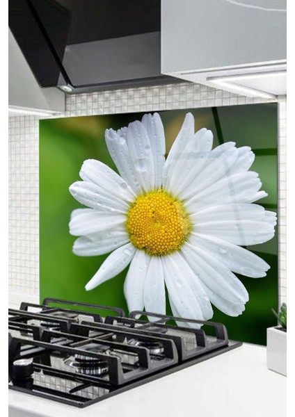 Cam Ocak Arkası Koruyucu Ankastre Arkası Koruyucu | Papatya