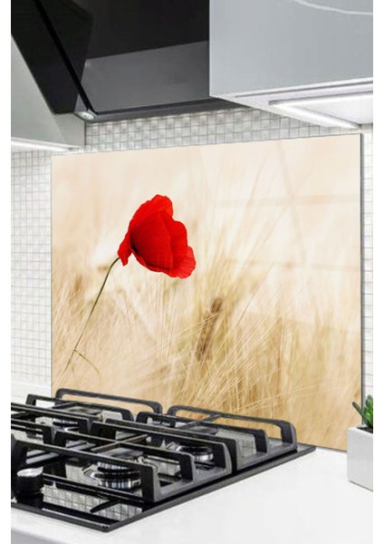 Cam Ocak Arkası Koruyucu Ankastre Arkası Koruyucu | Kırmızı Çiçek