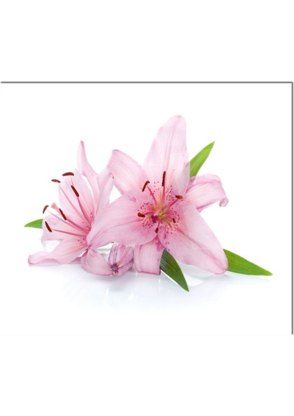 Cam Ocak Arkası Koruyucu Ankastre Arkası Koruyucu | Pembe Çiçek fiyatları