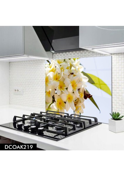 Cam Ocak Arkası Koruyucu | Çiçek