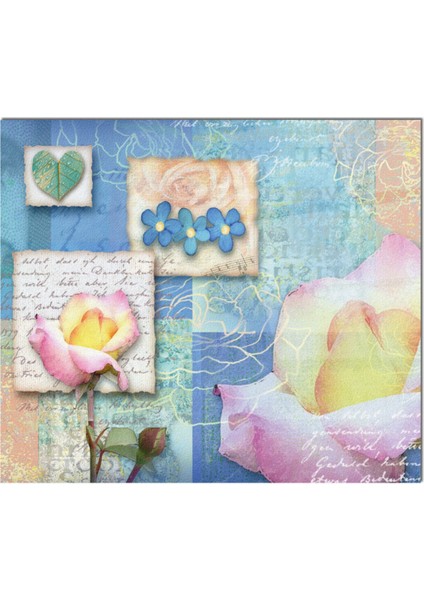 Cam Ocak Arkası Koruyucu Ankastre Arkası Koruyucu | Yaprak fiyatları