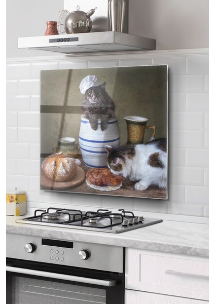 Ocak Arkası Cam Koruyucu Tezgah Ankastre Arkası Koruyucu | Mutfaktaki Sevimli Kediler