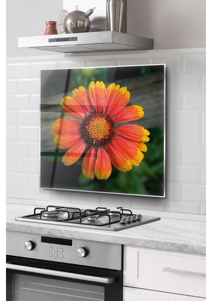 Ocak Arkası Cam Koruyucu Tezgah Ankastre Arkası Koruyucu | Çiçek Desenli