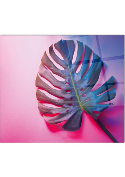 Cam Ocak Arkası Koruyucu Ankastre Arkası Koruyucu | Yaprak fiyatları