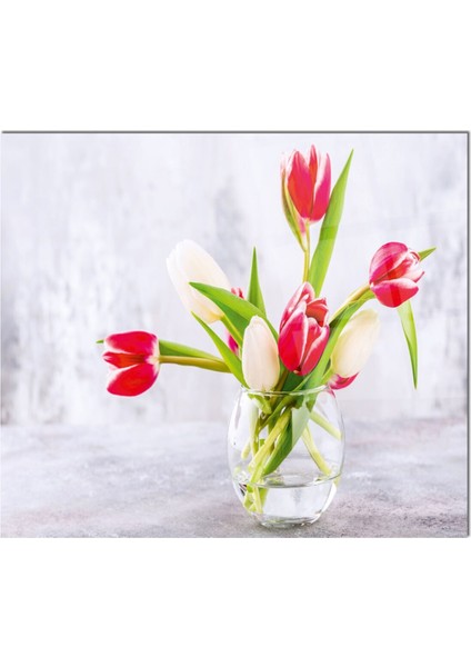 Cam Ocak Arkası Koruyucu Ankastre Arkası Koruyucu | Çiçek fiyatları