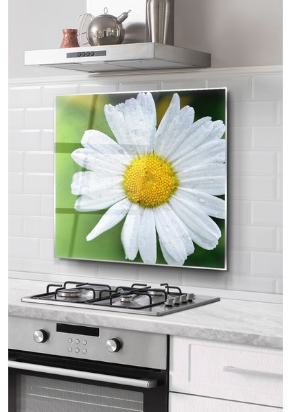 Ocak Arkası Cam Koruyucu Tezgah Ankastre Arkası Koruyucu | Papatya Desenli