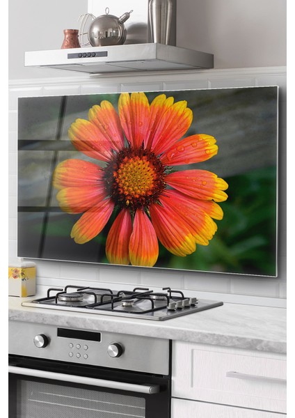 Ocak Arkası Cam Koruyucu Tezgah Ankastre Arkası Koruyucu | Çiçek Desenli