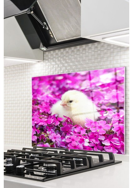 Cam Ocak Arkası Koruyucu Ankastre Arkası Koruyucu | Beyaz Civciv